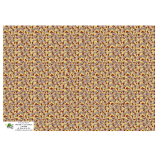 Camo Australien Defence Force Desert DPCU mk.1
