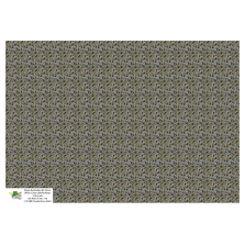 Camo Australien Royal Australian Air Force DPCU