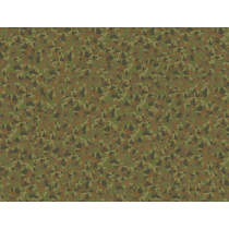 Premier camo Australien...