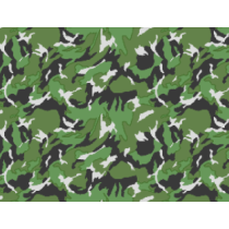 Camo Chine PLA type 81...