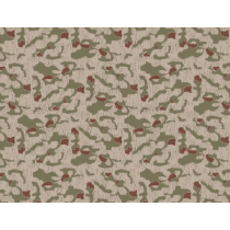 Camo Allemagne West German...