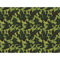 Camo Allemagne German WWII...