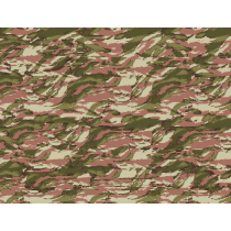 Camo "Lizard" France...