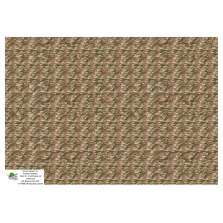 Camo "Lizard" France modèles 47/51, 47/58 et 58 et Israel