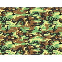 Camo Corée du Sud ROK...