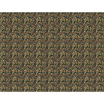 Camo WWII German SS...