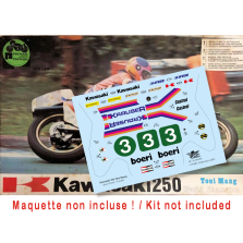 Kawasaki 250cc "Toni Mang"  (pour Protar 1/9)