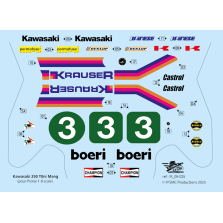 Kawasaki 250cc "Toni Mang"  (pour Protar 1/9)