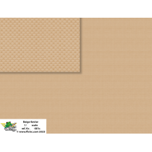 Trame Kevlar beige