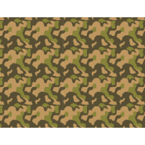 Camo Norvège (et République...