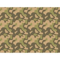 Camo Norvège (et République...