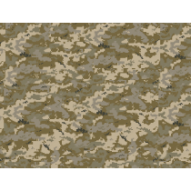 Camo Ukrainian MM-14 standard