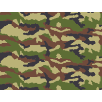 Camouflage Français “Centre...