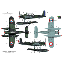 Arado Ar 196A-2 déguisé en...