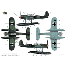 Arado Ar 196A-2 déguisé en avion Français